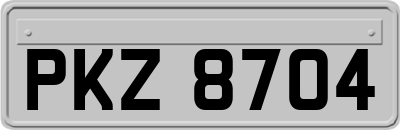 PKZ8704