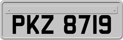 PKZ8719