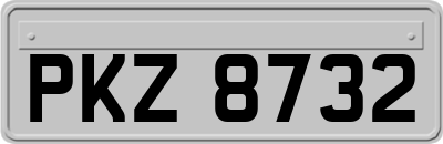 PKZ8732