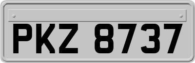 PKZ8737