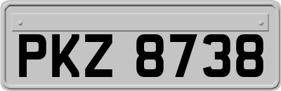 PKZ8738