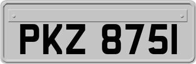 PKZ8751