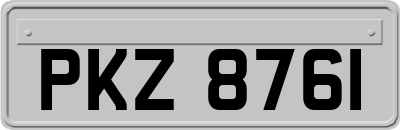 PKZ8761