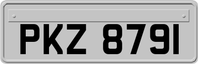 PKZ8791