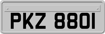 PKZ8801