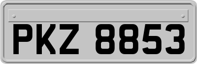 PKZ8853