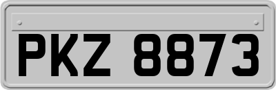 PKZ8873