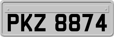 PKZ8874