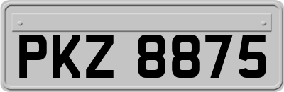 PKZ8875