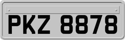 PKZ8878