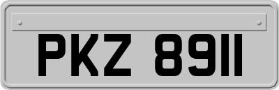 PKZ8911
