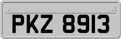 PKZ8913