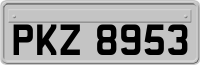 PKZ8953