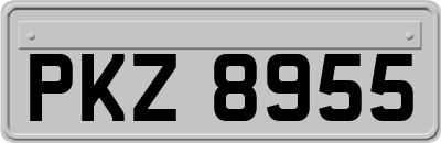 PKZ8955