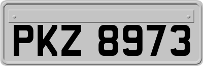 PKZ8973