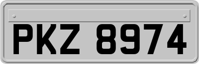 PKZ8974