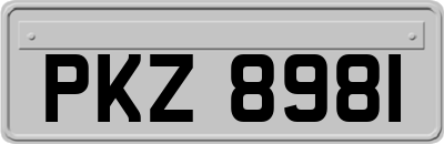 PKZ8981