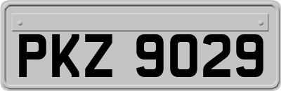 PKZ9029