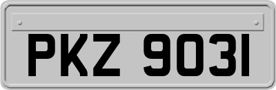 PKZ9031