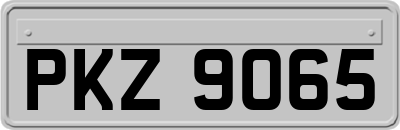 PKZ9065