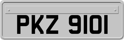 PKZ9101