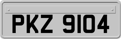 PKZ9104
