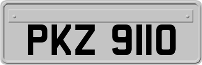 PKZ9110