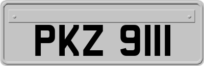 PKZ9111