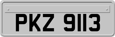 PKZ9113
