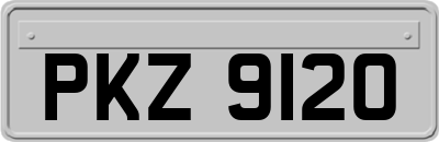 PKZ9120