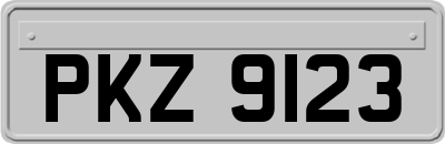 PKZ9123