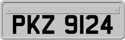 PKZ9124