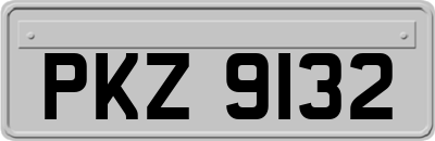 PKZ9132