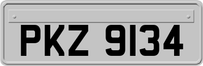 PKZ9134