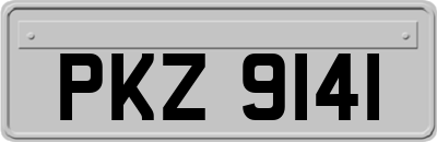 PKZ9141