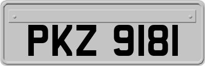 PKZ9181