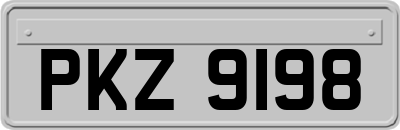 PKZ9198