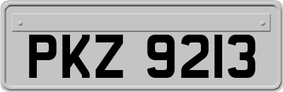 PKZ9213