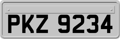 PKZ9234