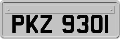PKZ9301