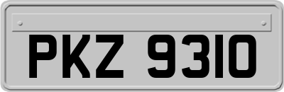 PKZ9310