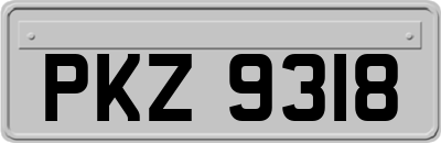 PKZ9318