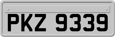 PKZ9339