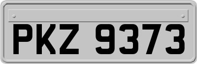 PKZ9373