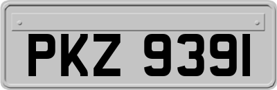 PKZ9391