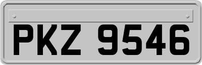 PKZ9546