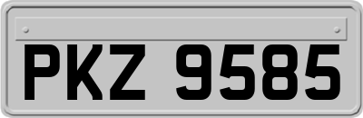 PKZ9585