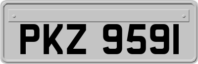 PKZ9591