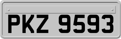 PKZ9593