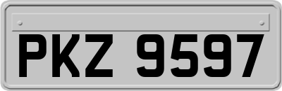 PKZ9597